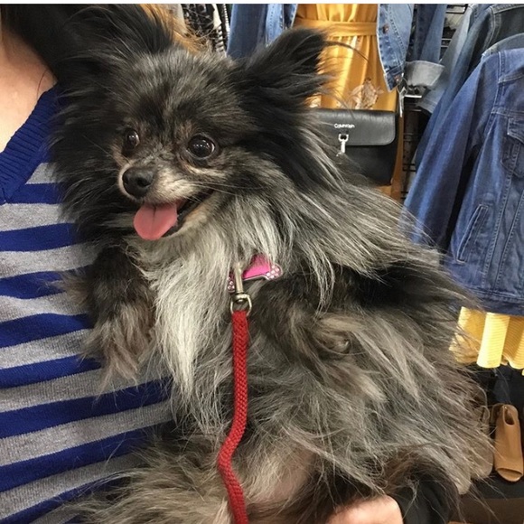 Meet your Posher, Dana - Picture 2 of 5